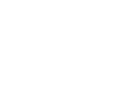Auto icon